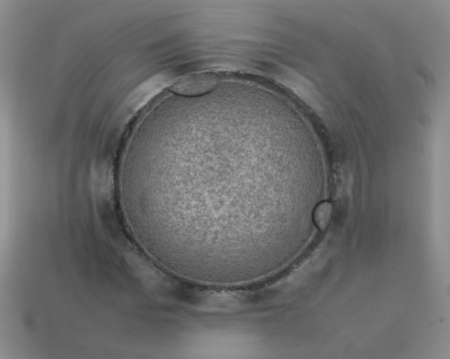 X0000113600969200910091517