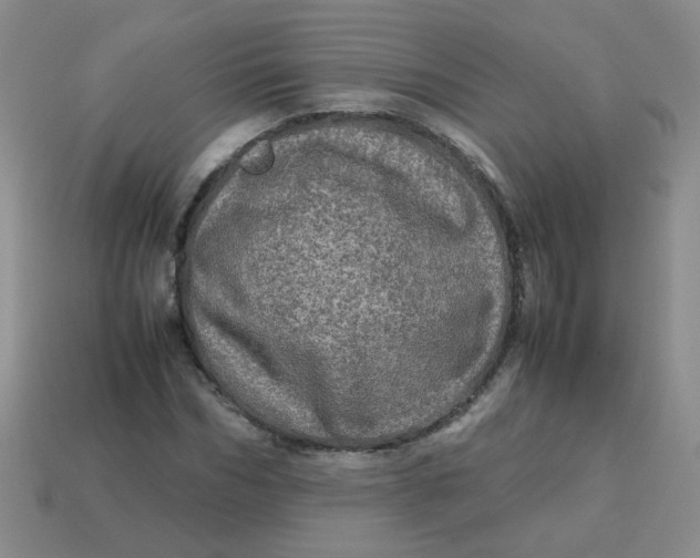 X0000113600970200910091517