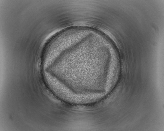 X0000113600971200910091517