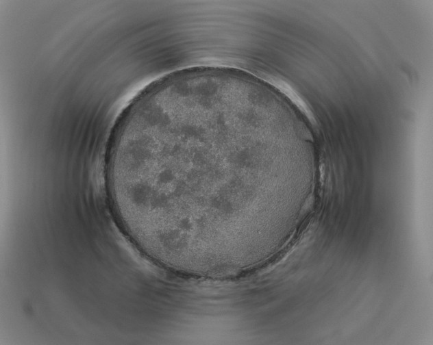 X0000113600972200910091517