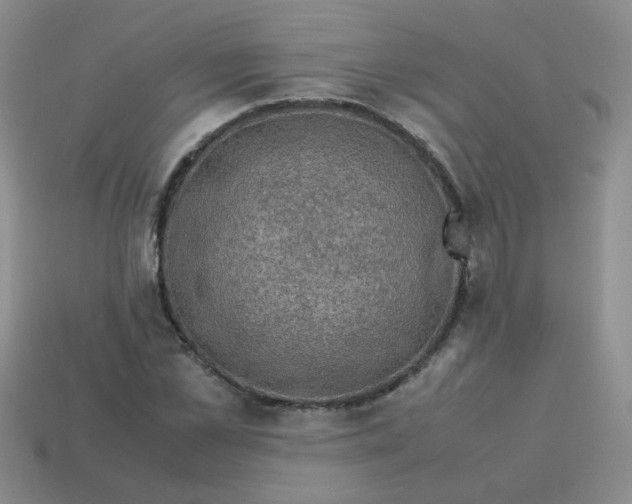 X0000113600973200910091517