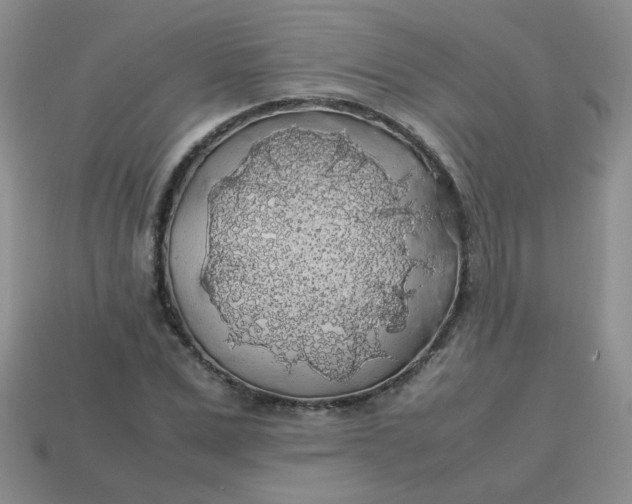 X0000113600975200910091517