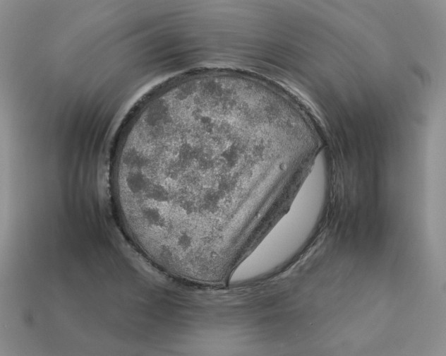 X0000113600976200910091517