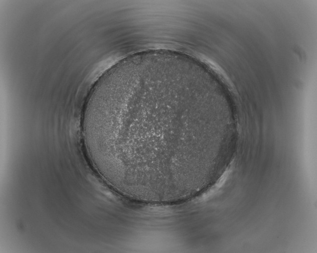 X0000113600977200910091517