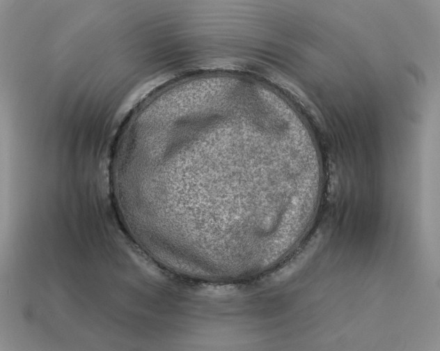 X0000113600978200910091517