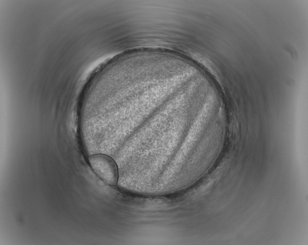 X0000113600979200910091517