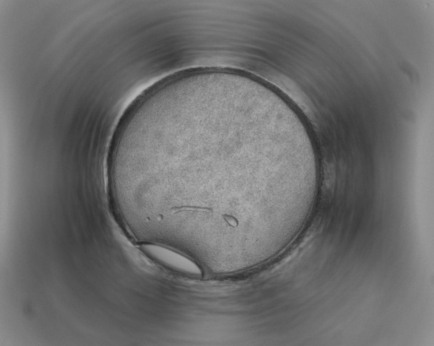 X0000113600980200910091517