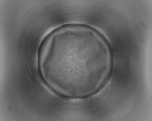 X0000113600982200910091517