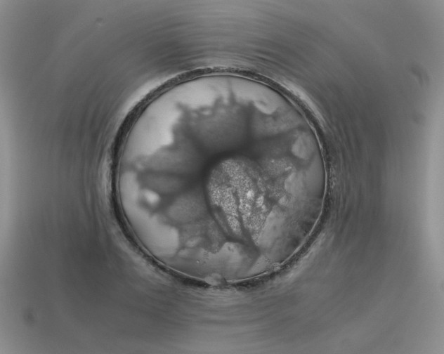 X0000113600983200910091517