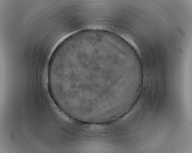 X0000113600984200910091517