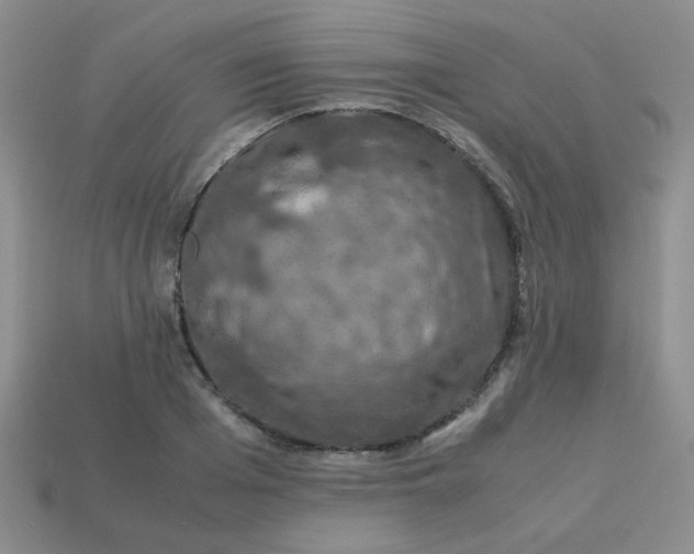 X0000113600985200910091517