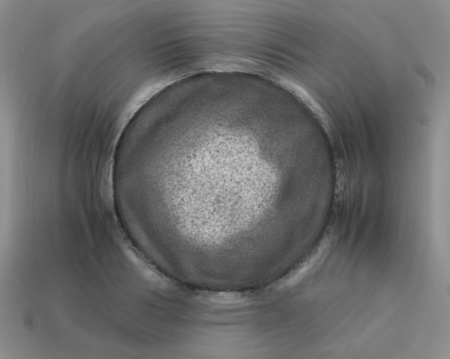 X0000113600986200910091517