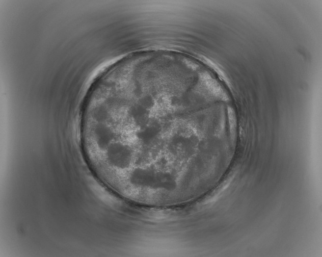 X0000113600987200910091517