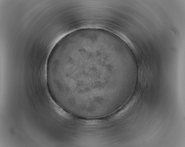 X0000113600988200910091517