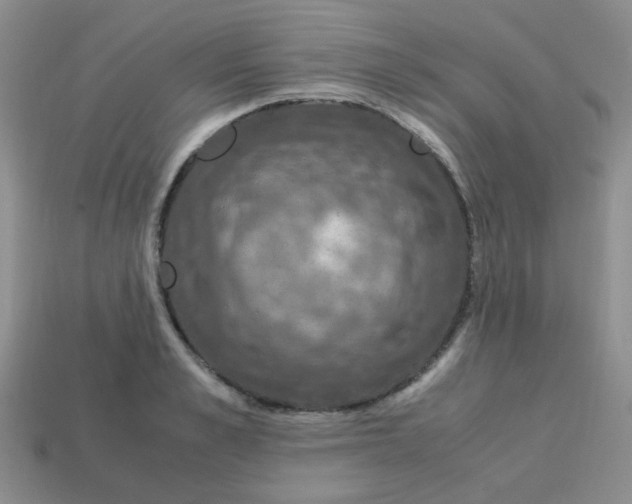 X0000113600989200910091517