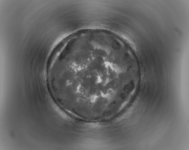 X0000113600990200910091517