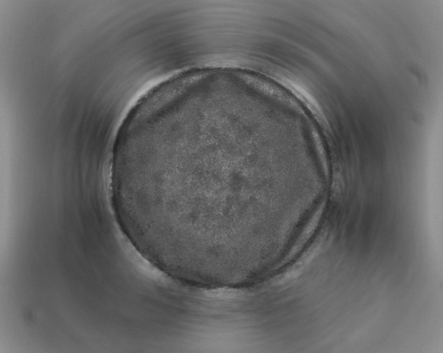 X0000113600992200910091517