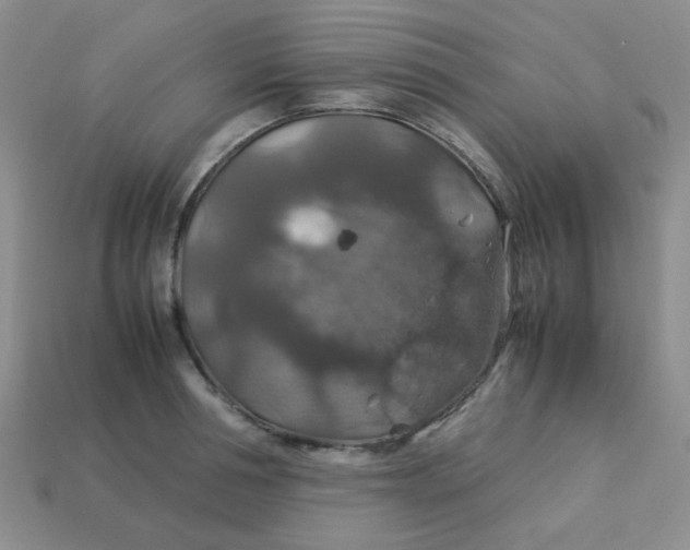 X0000113600994200910091517