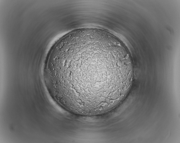 X0000113600995200910091517