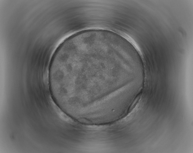 X0000113600996200910091517