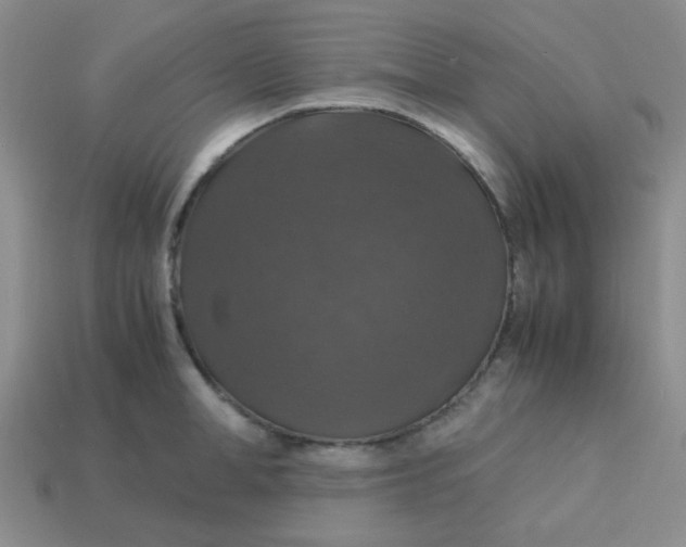 X0000113600998200910091517