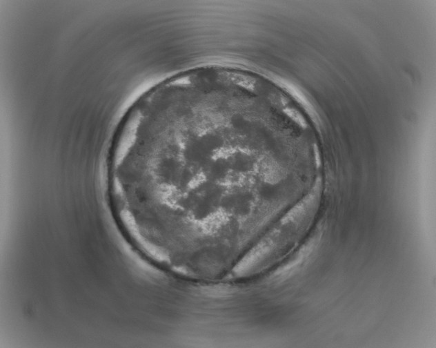 X0000113600999200910091517