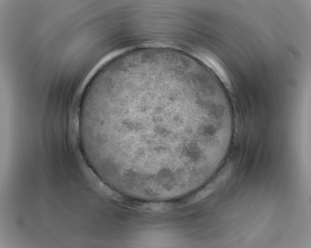 X0000113601000200910091517