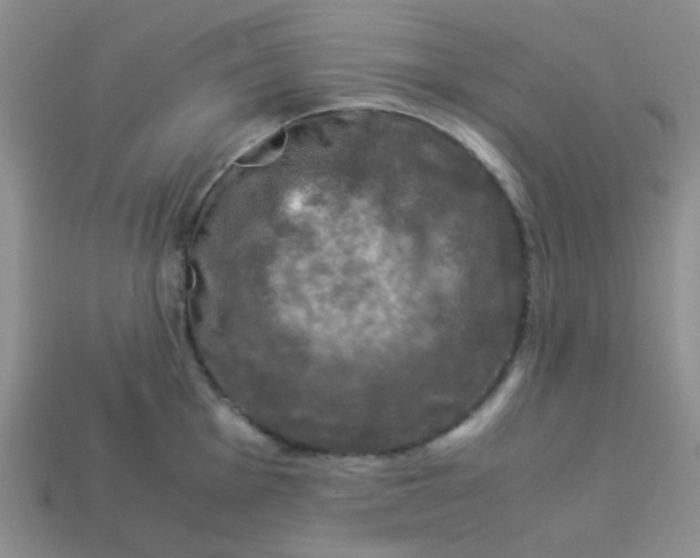 X0000113601001200910091517