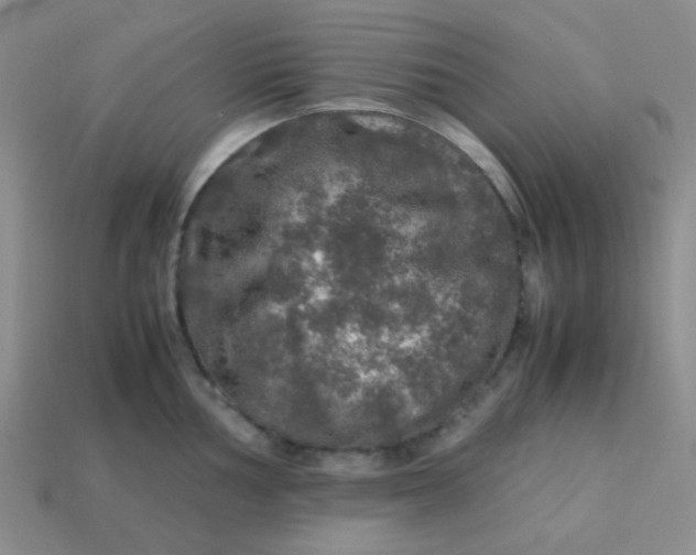 X0000113601002200910091517