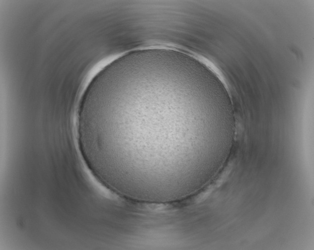 X0000113601003200910091517