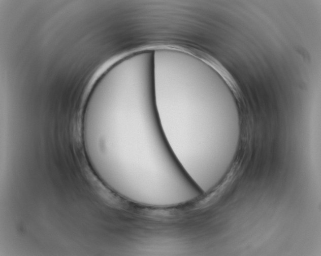 X0000113601004200910091517