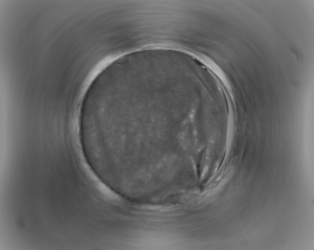 X0000113601005200910091517