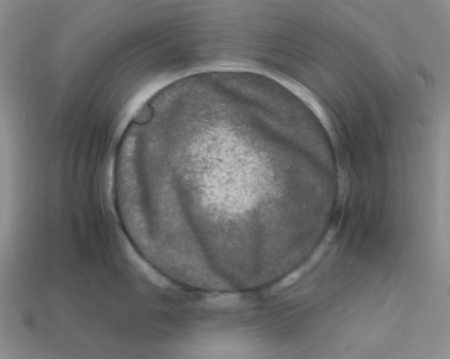 X0000113601006200910091517