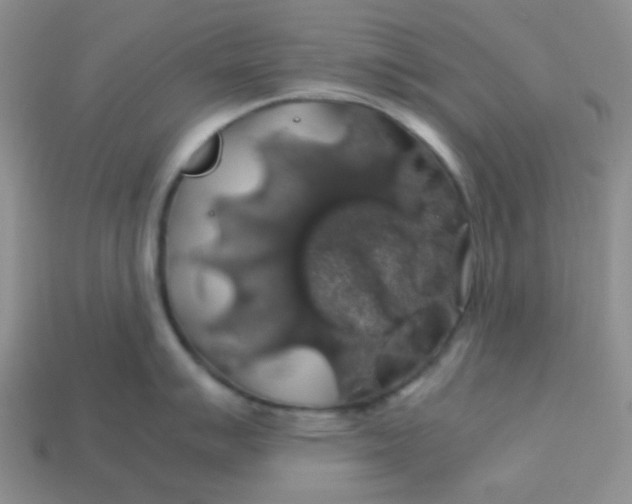 X0000113601007200910091517