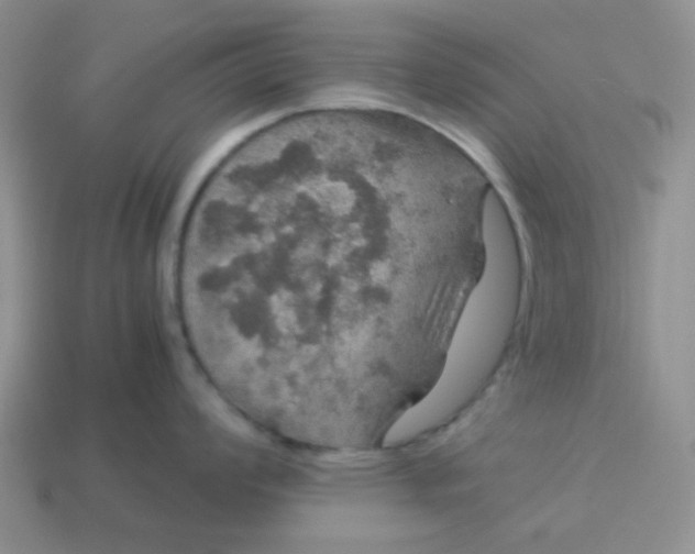 X0000113601008200910091517