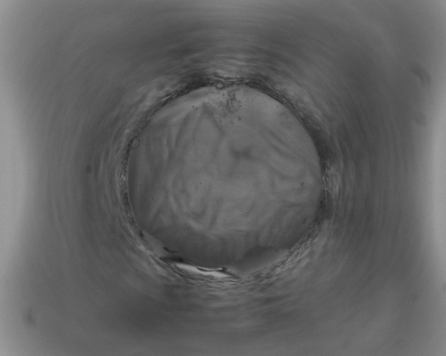 X0000113601009200910091516