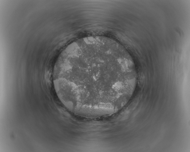 X0000113601010200910091516