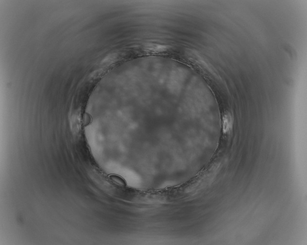 X0000113601011200910091516