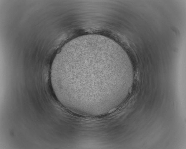 X0000113601012200910091516