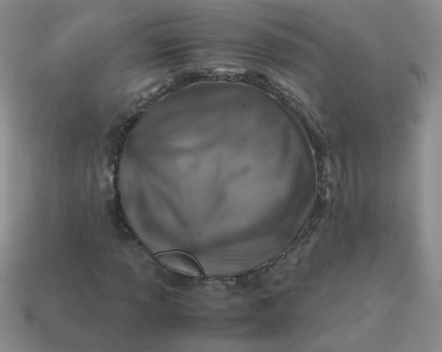 X0000113601013200910091516