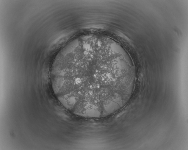 X0000113601014200910091516