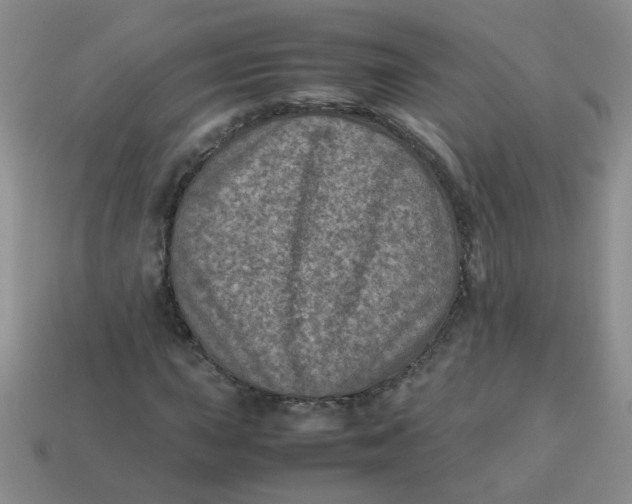 X0000113601015200910091516