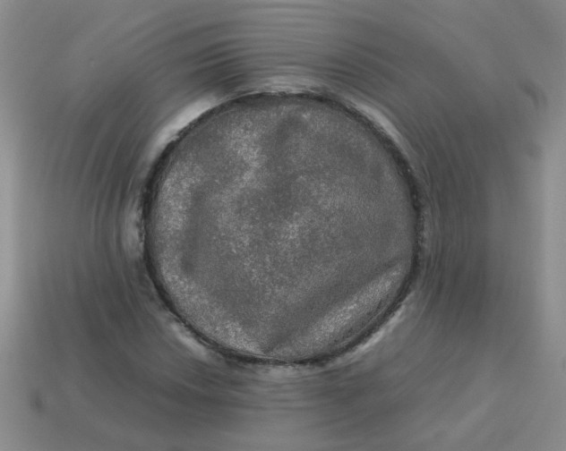 X0000113601018200910091516