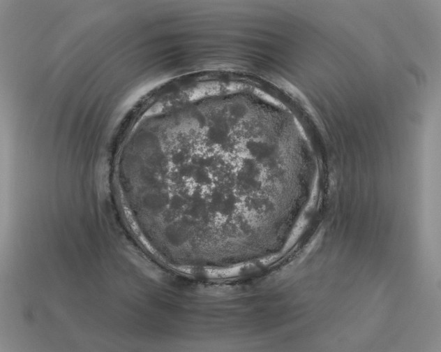 X0000113601019200910091516