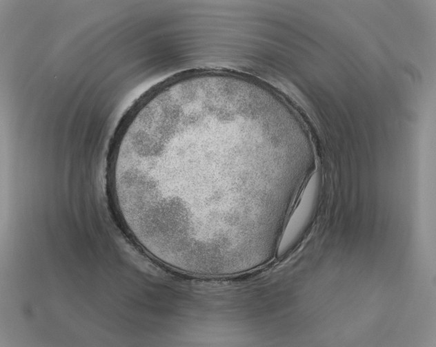 X0000113601020200910091516