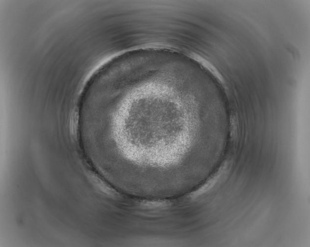 X0000113601021200910091516