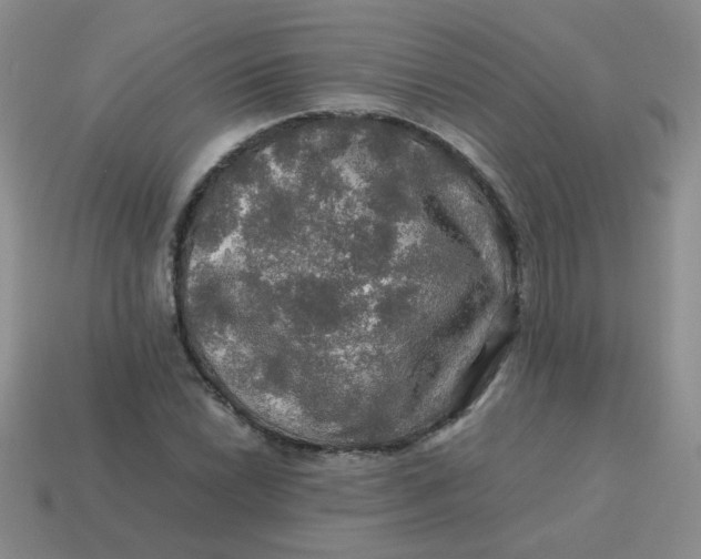 X0000113601022200910091516