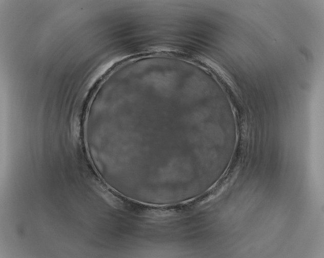 X0000113601023200910091516