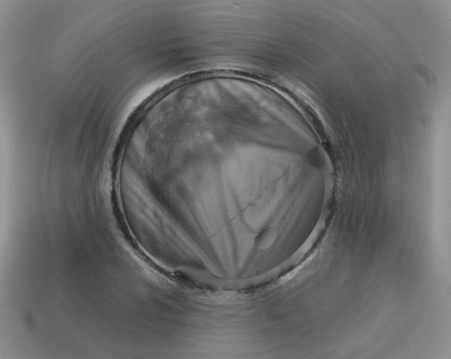 X0000113601024200910091516