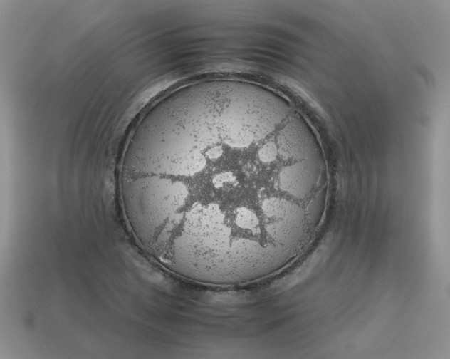 X0000113601025200910091516